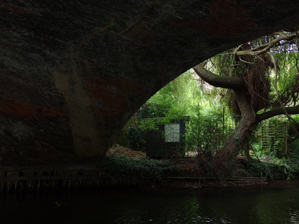 river, salisbury, bridge, shrubs, tree, branches, emerald, green, water, canal, wiltshire