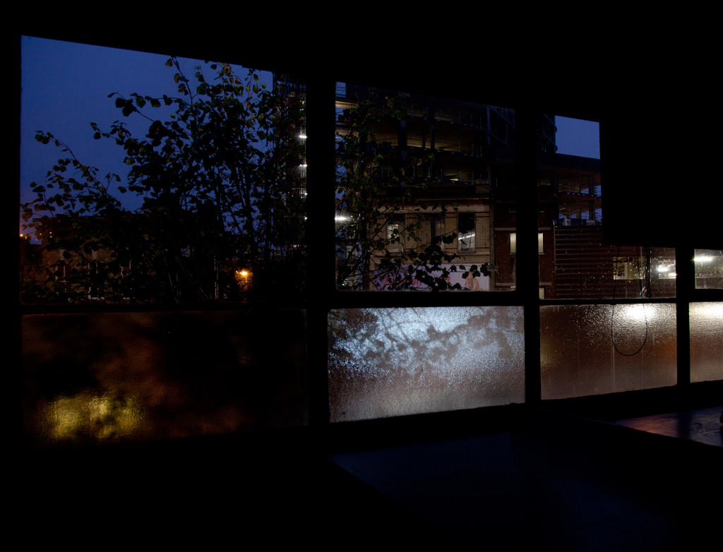 window, night, street, streetlights, city, frosted glass, blue, follage