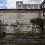 white walled
