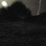 The Naze